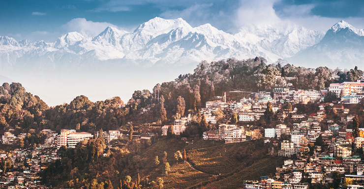 India's Northeast: Tea Fields, Rhinos & River Cruise