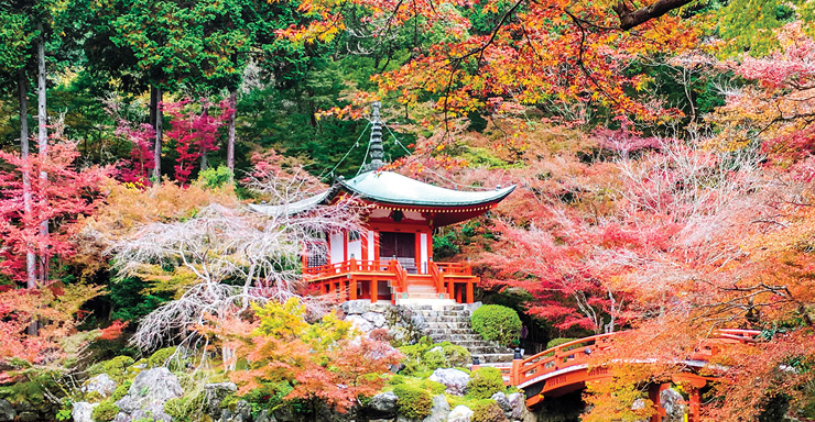 Japan's Fall Foliage